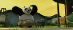Kung Fu Panda