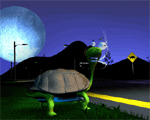 Road Kill - Turtle